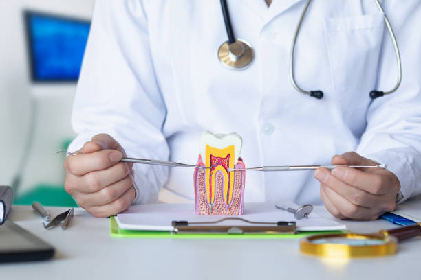 Best Emergency Cosmetic Dentistry in Ridgeway, VA